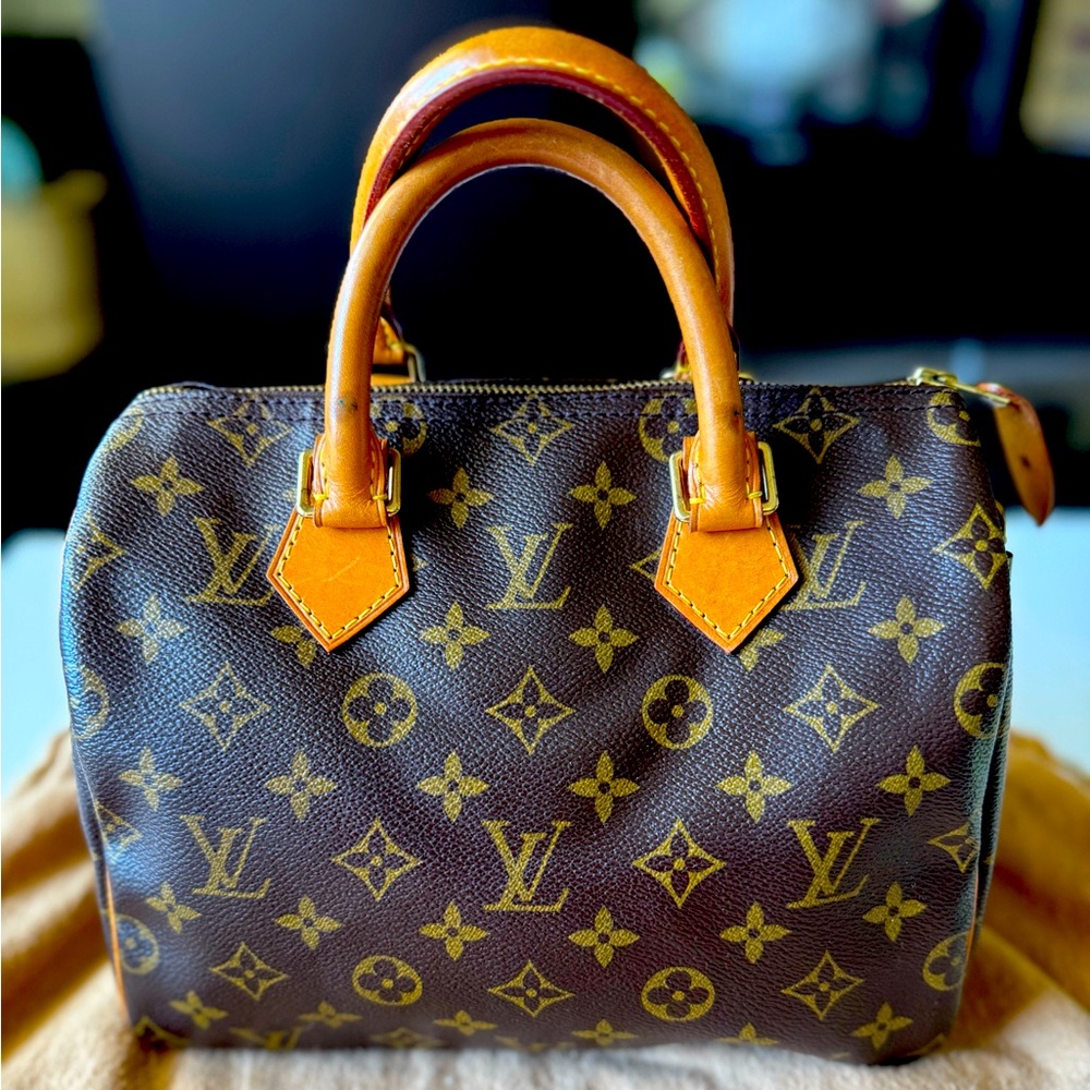 Louis Vuitton Speedy 25 Vintage bag